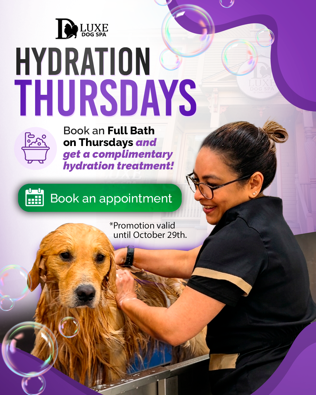D Luxe Dog Spa Facebook ad: Dog bath in Melrose.