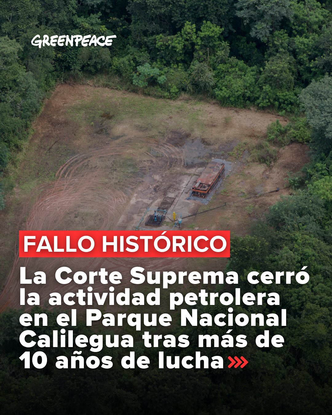 Greenpeace Argentina Facebook ad: ¡Victoria histórica para la naturaleza!