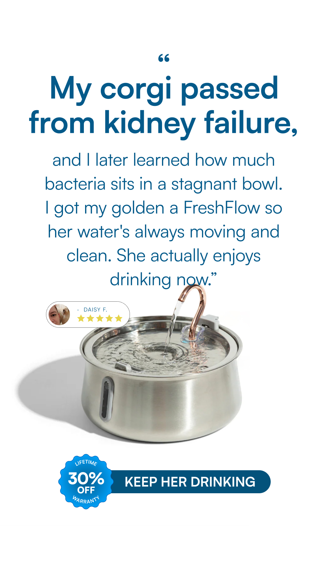 Rhykin Pet Co Facebook ad