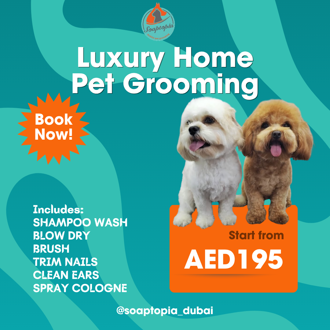 Soaptopia Dubai Facebook ad
