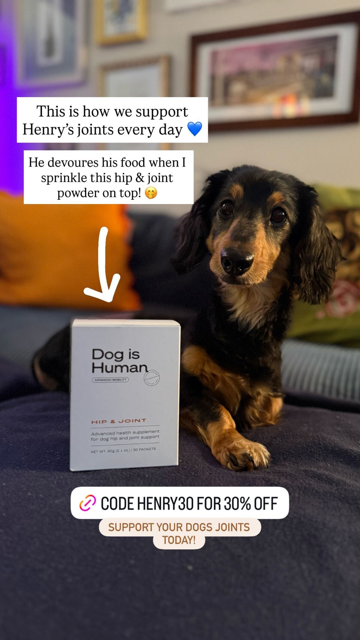 Dog is Human Facebook ad
