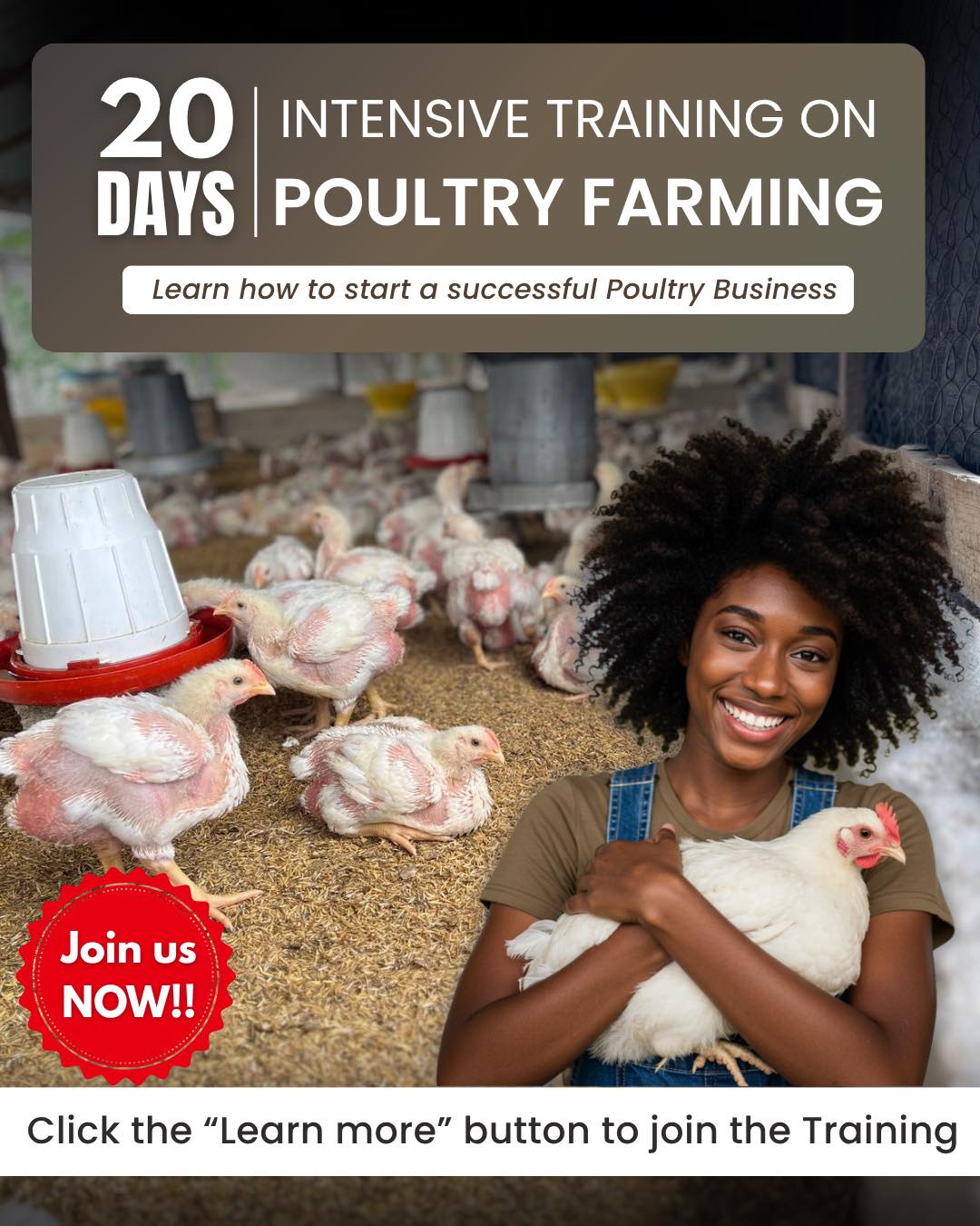 Skifarms Agro Consult Facebook ad: FREE POULTRY FARMING TRAINING ON WHATSAPP