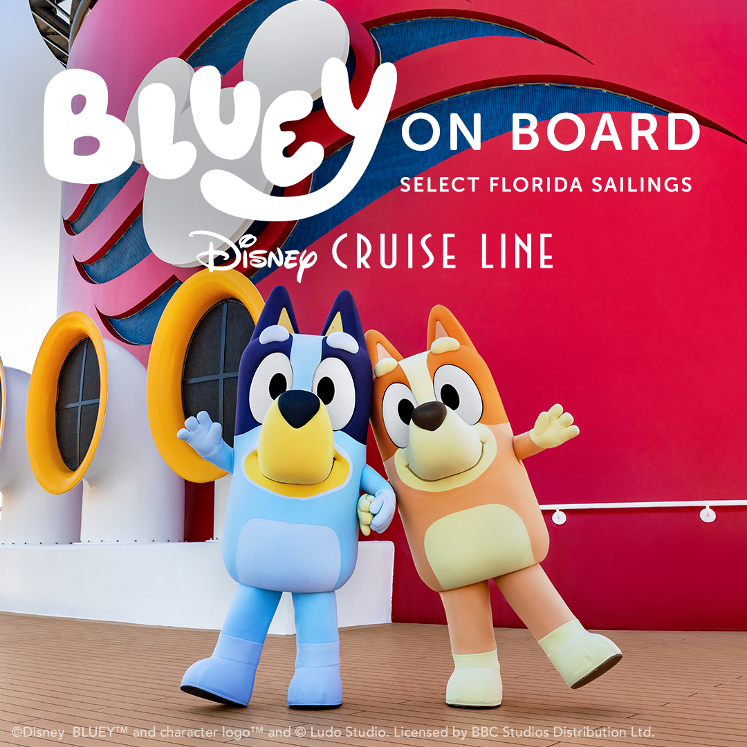 Disney Travel Professionals Facebook ad from Feb 3, 2026