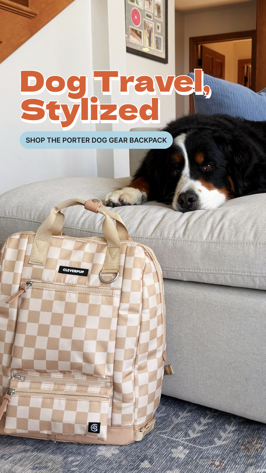 Cleverpup Facebook ad