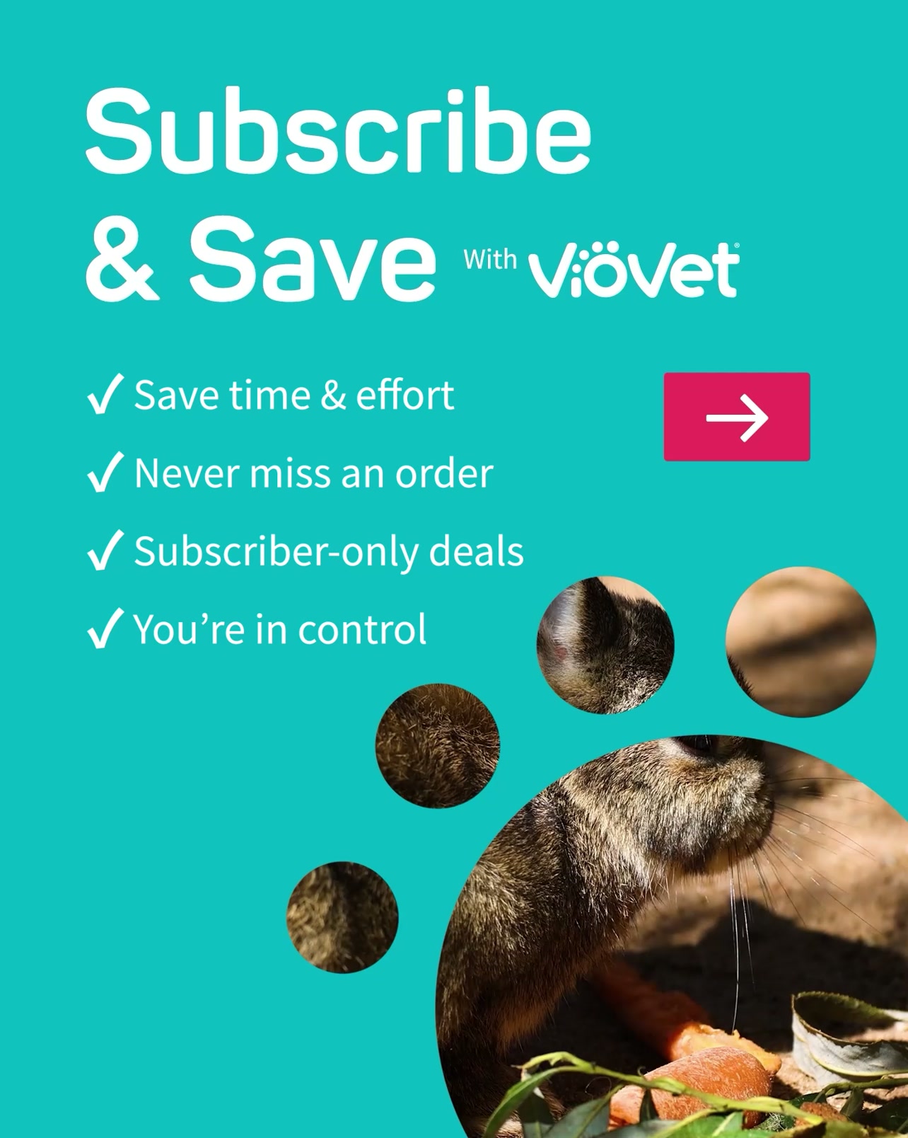 VioVet Facebook ad: Subscribe at Basket Today