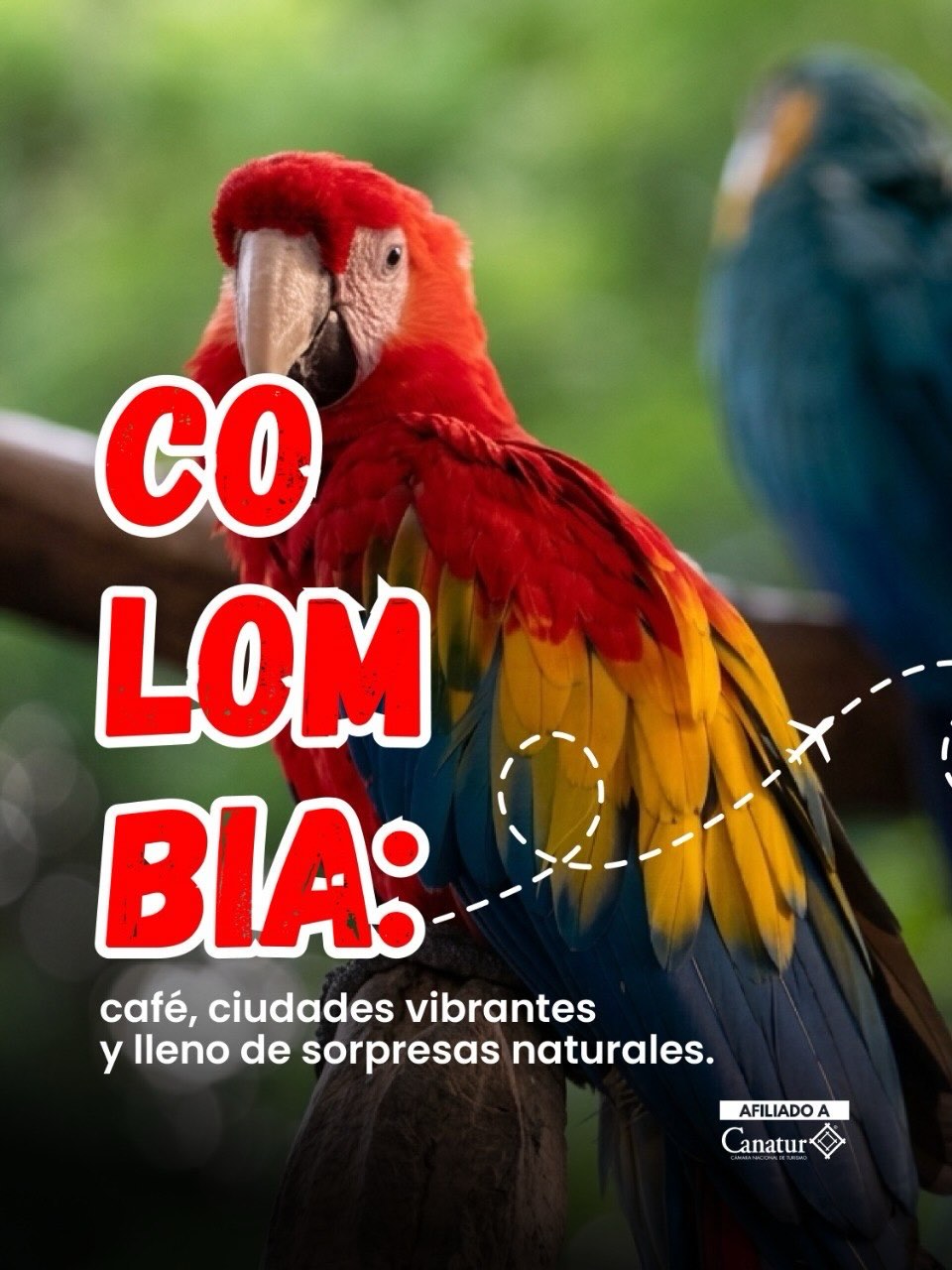 Costa Rica Natural Adventure Facebook ad: Colombia es uno de los destinos más biodiversos…
