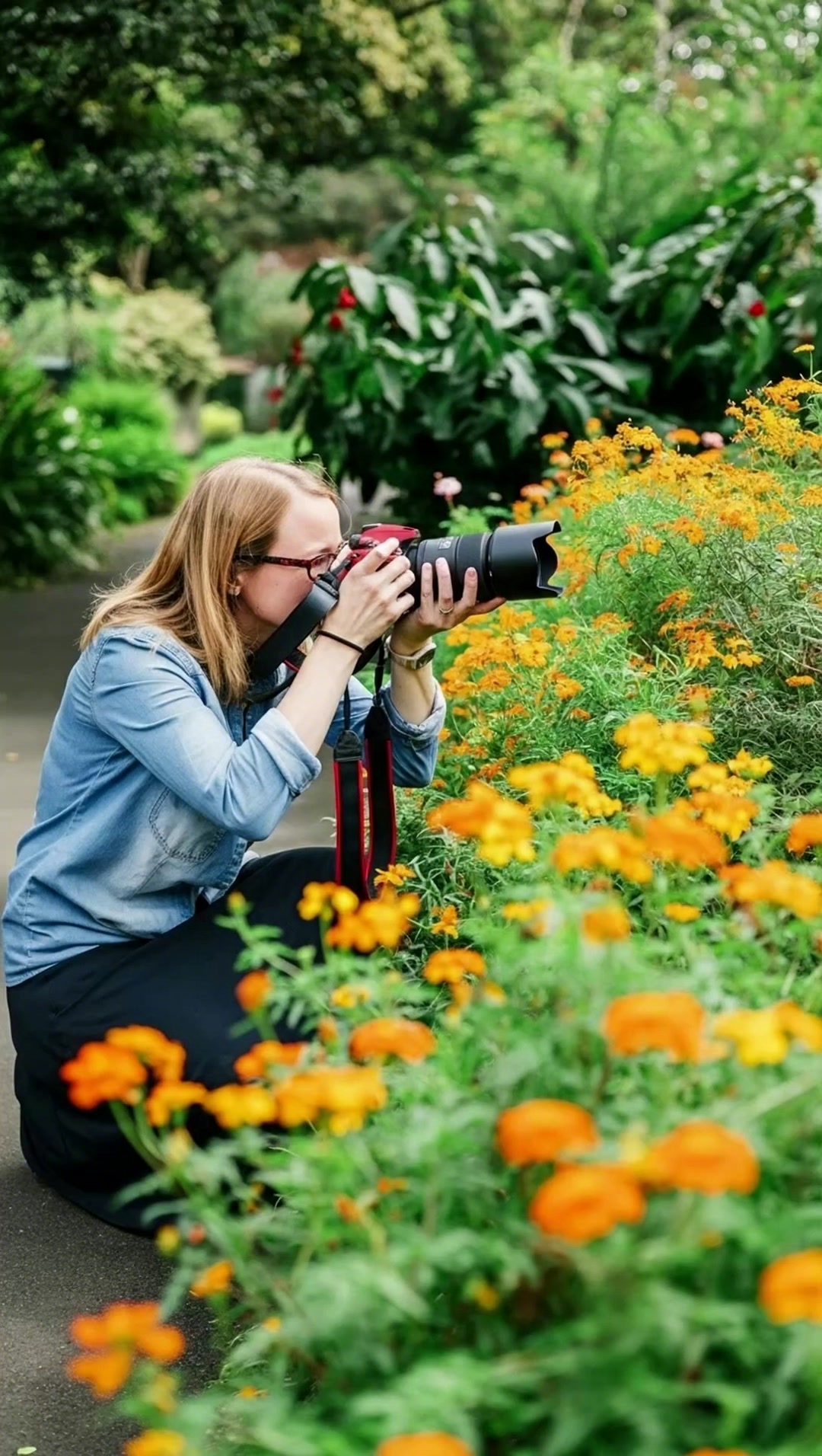 Norfolk Photography Group Facebook ad: Norfolk Photography Group - Events
