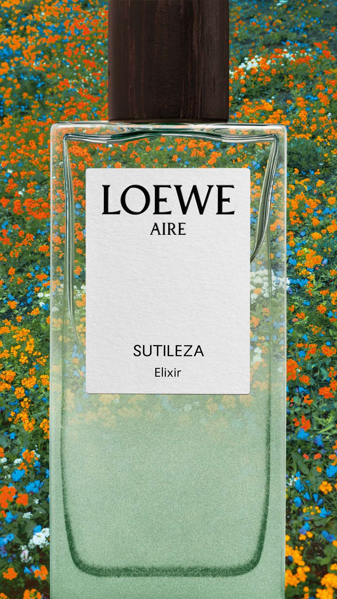 LOEWE Perfumes Facebook ad