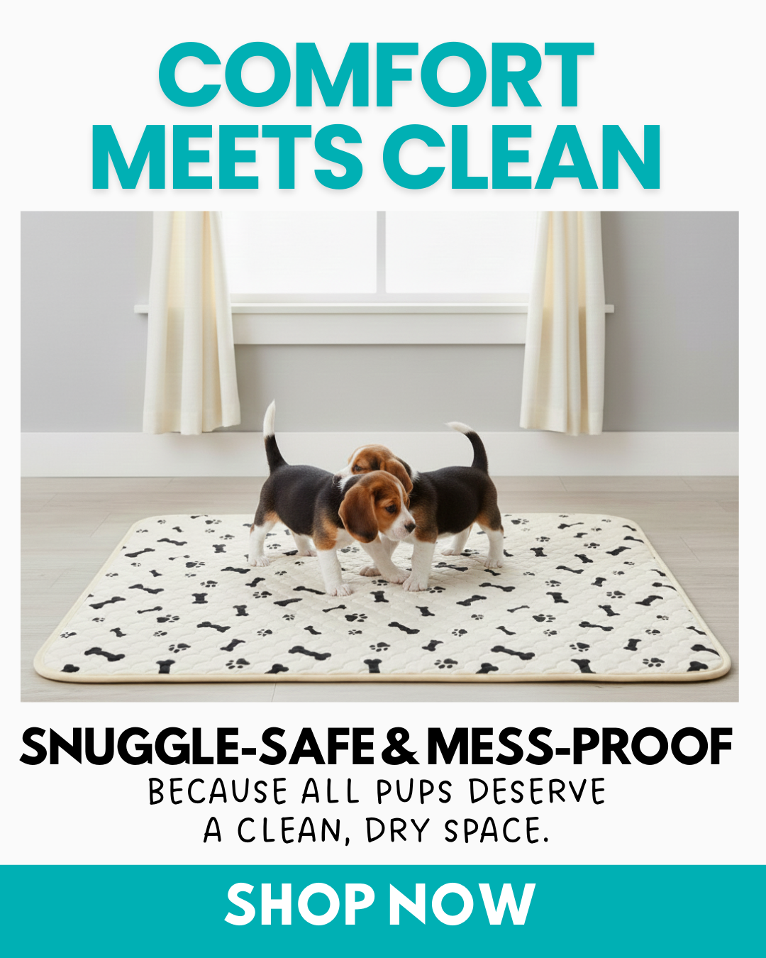 Potty Buddy Facebook ad