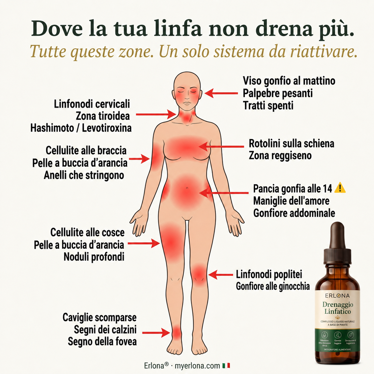 Erlona Italia Facebook ad: Non dare la colpa al tuo stile di vita, Inizia rimettendo…