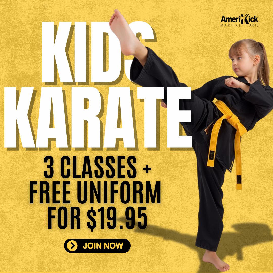 Amerikick Martial Arts Facebook ad