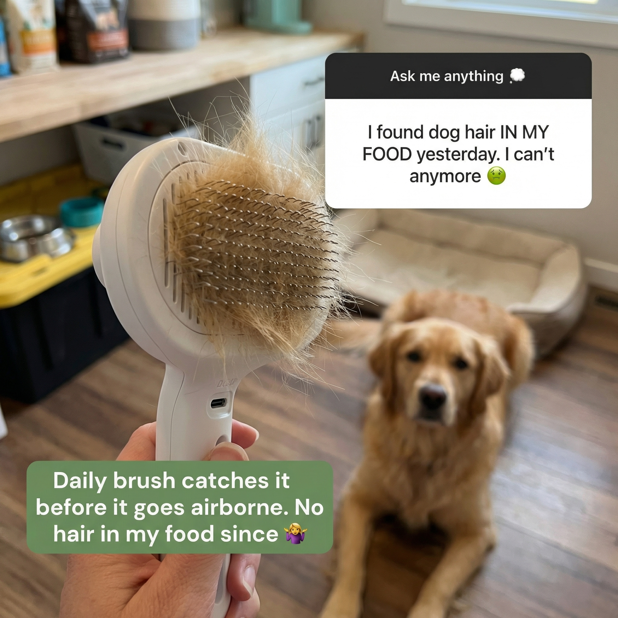 Doggido Facebook ad