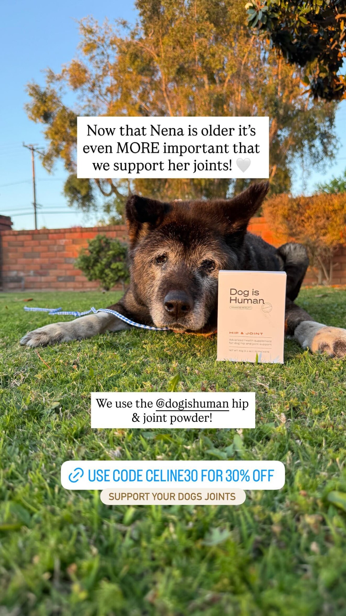 Dog is Human Facebook ad