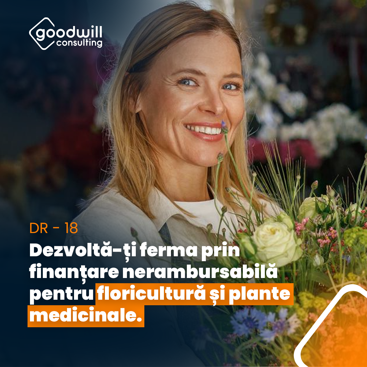 Goodwill Consulting Facebook ad