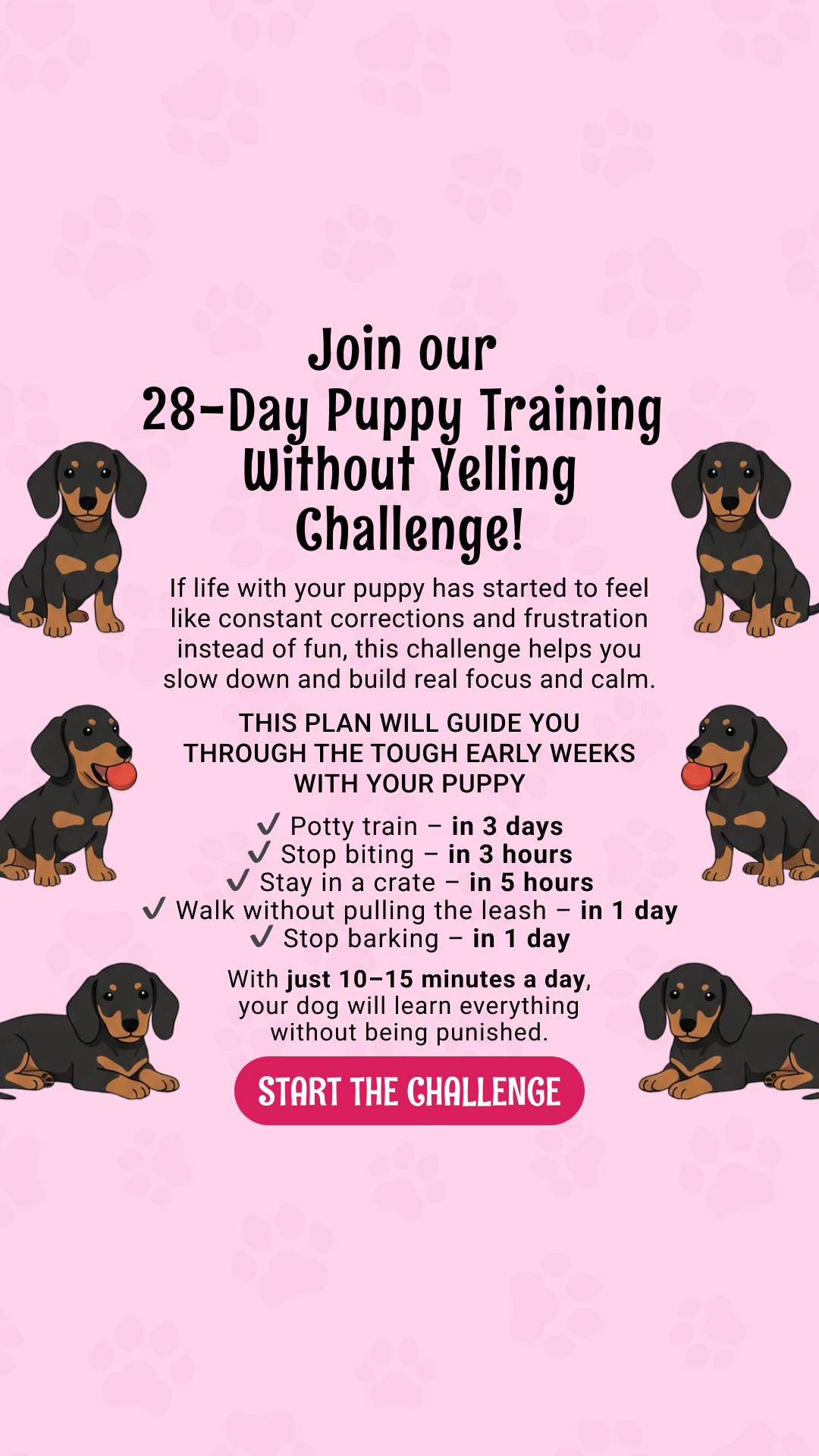 Dog Training & Tips Facebook ad