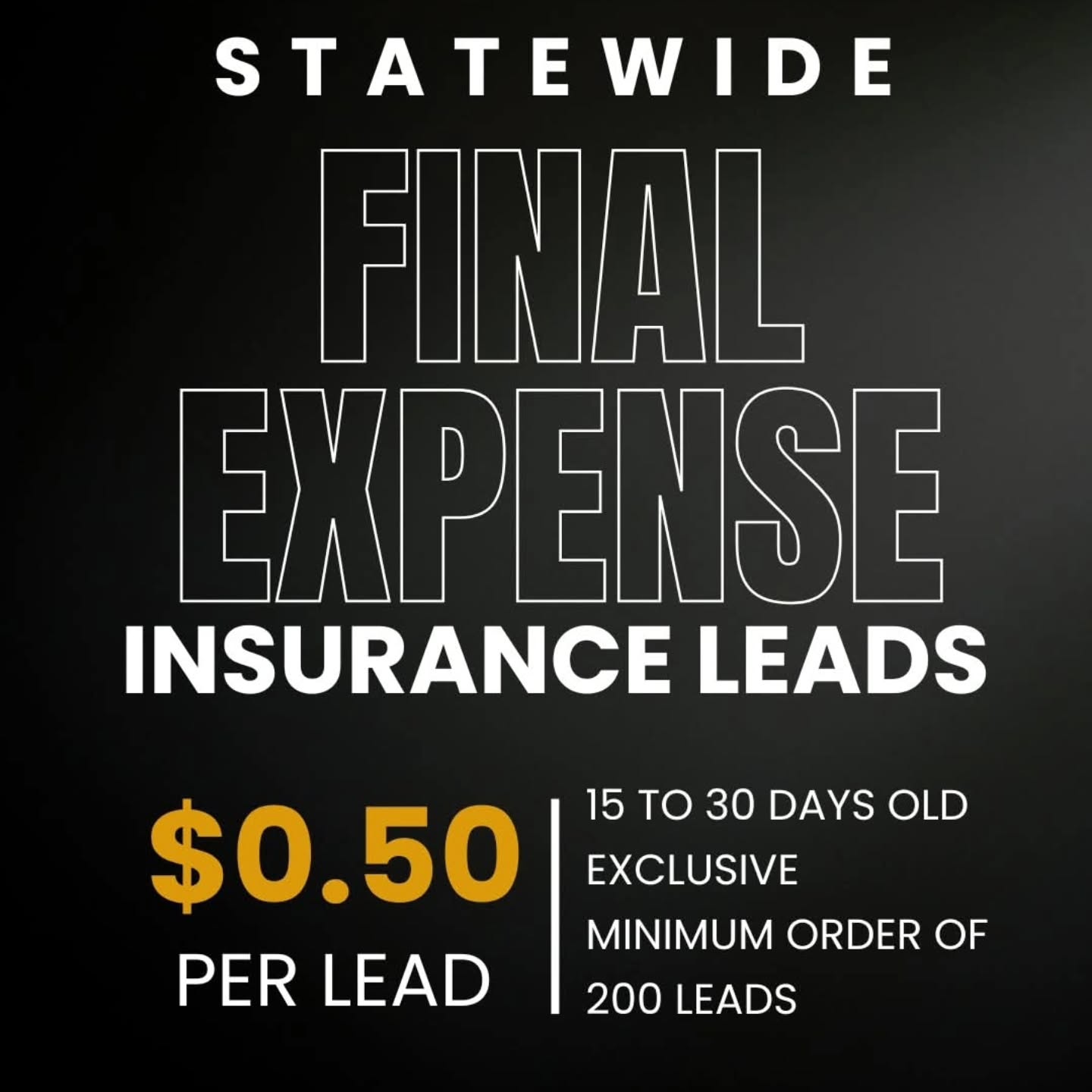 PrimeTime Leads Page Facebook ad