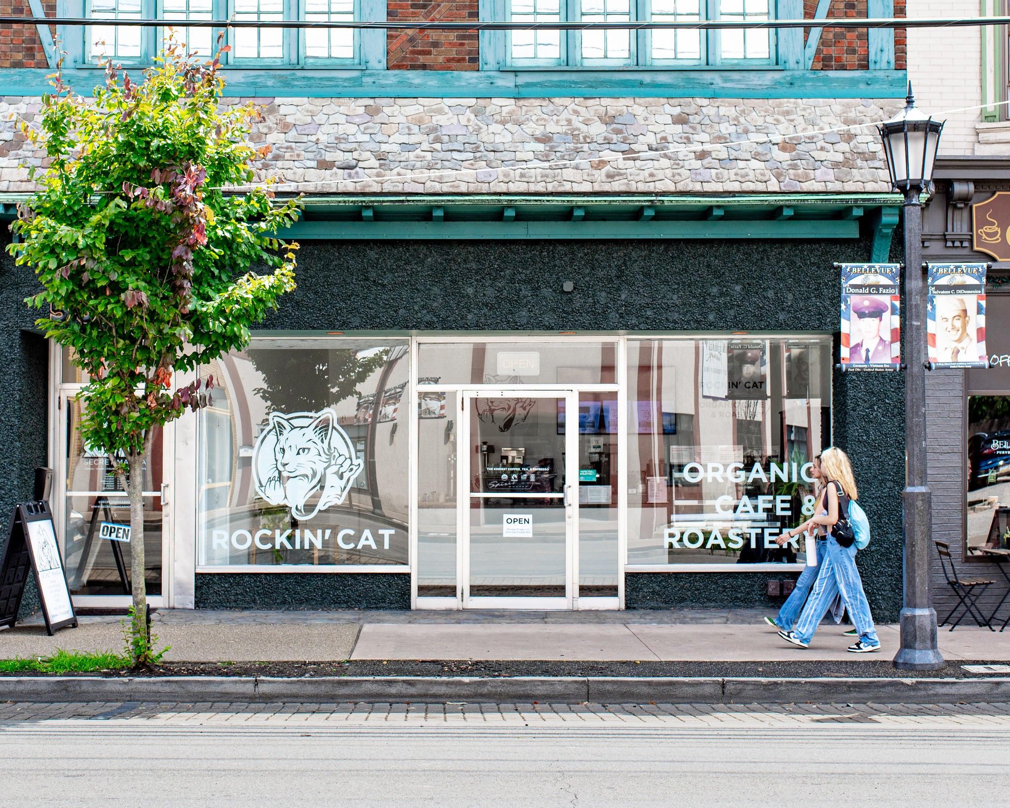 Rockin' Cat Facebook ad