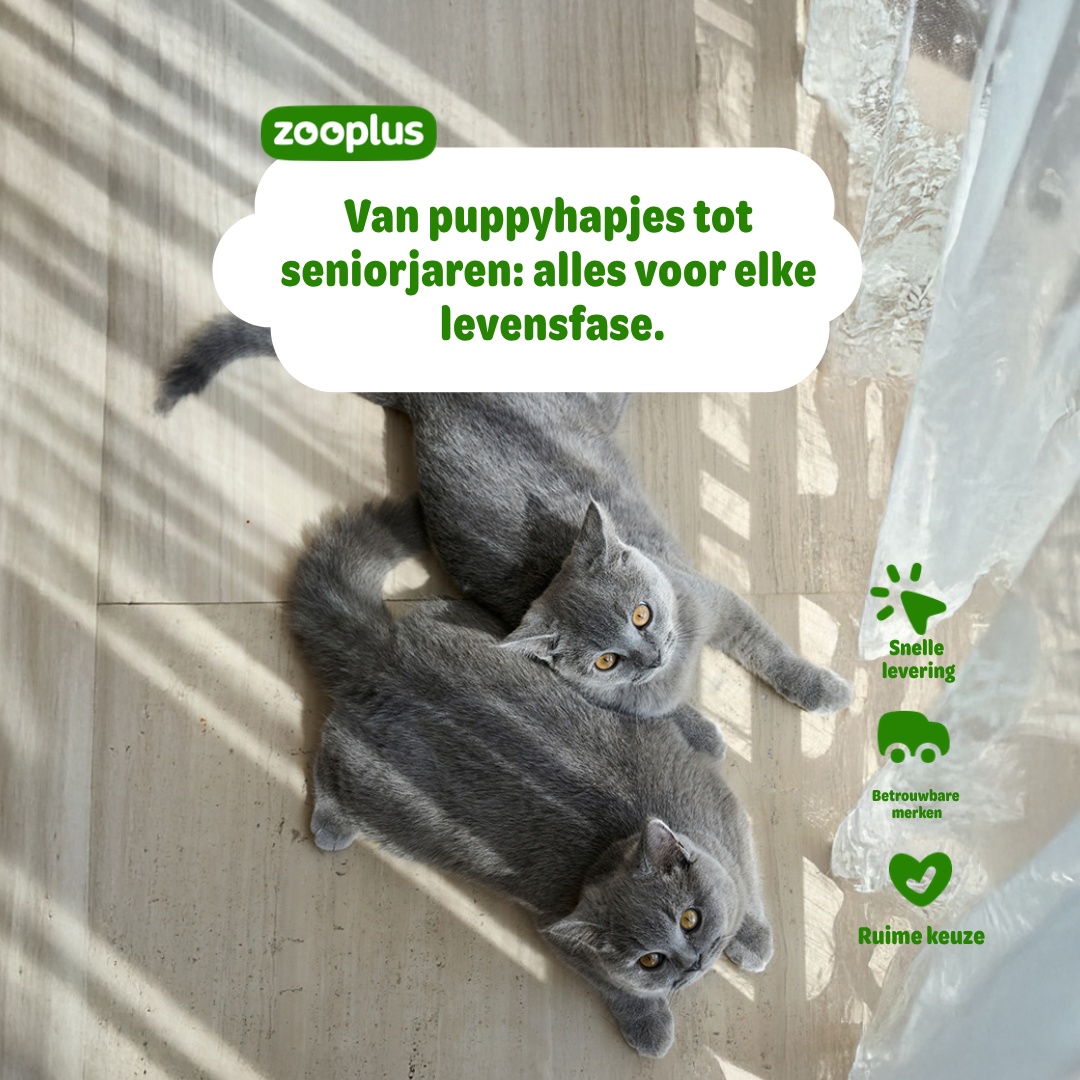 zooplus Facebook ad