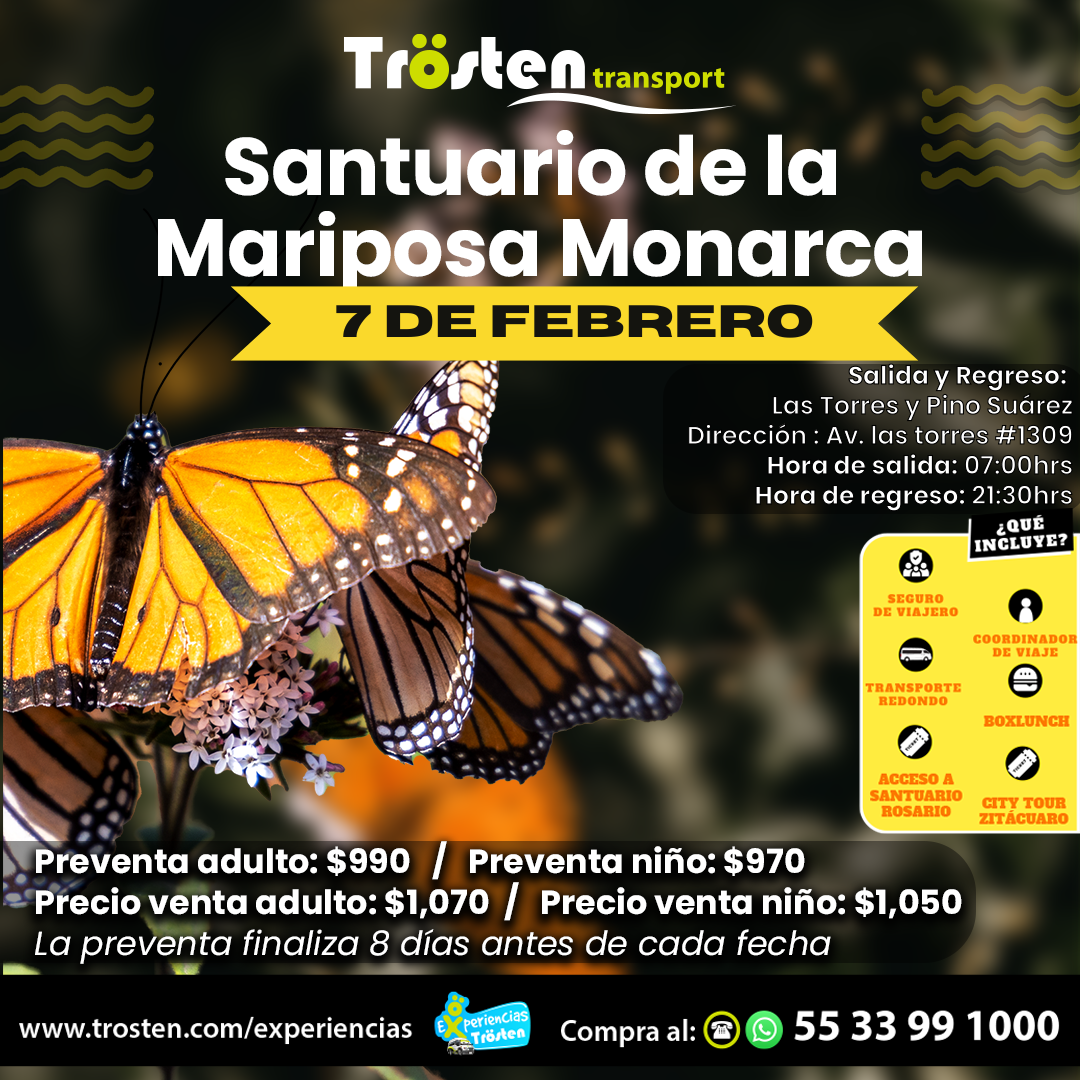 Trösten Transport Facebook ad: Transporte Redondo