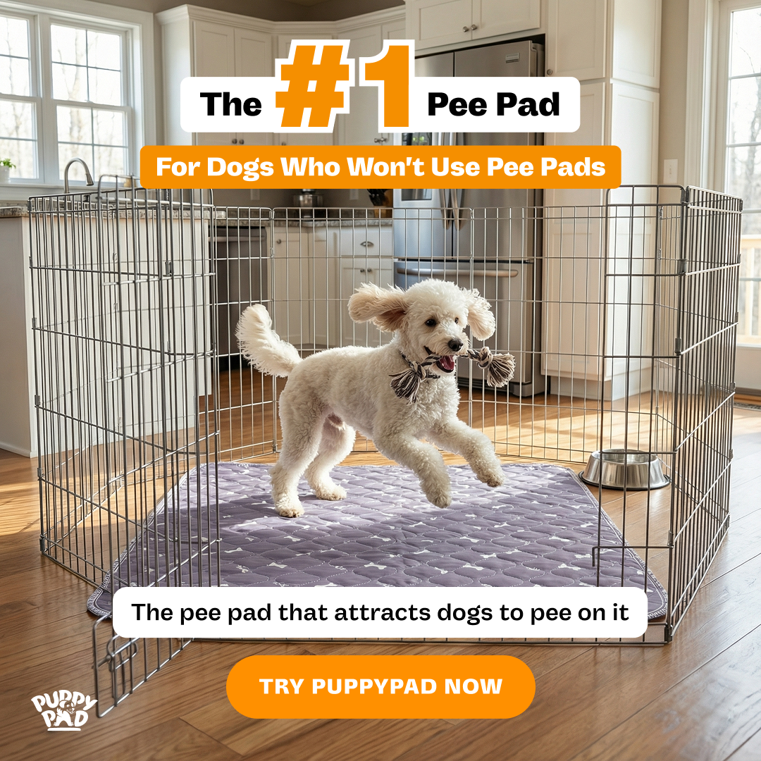 PuppyPad Facebook ad