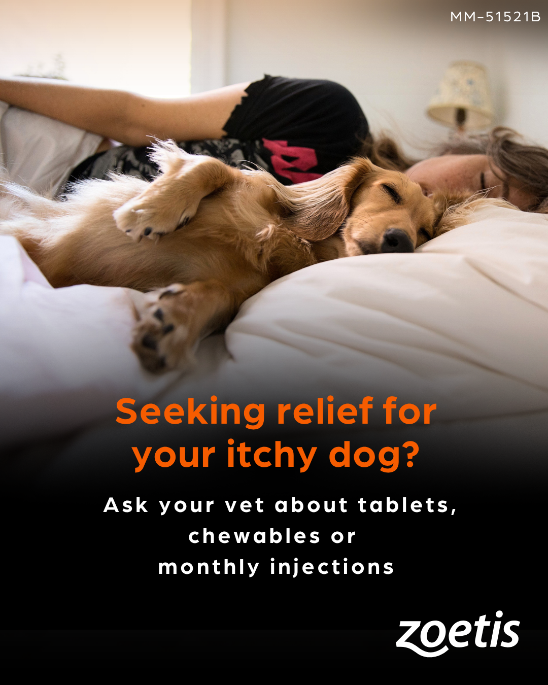 Zoetis Pets Facebook ad: Dog Itch Treatments