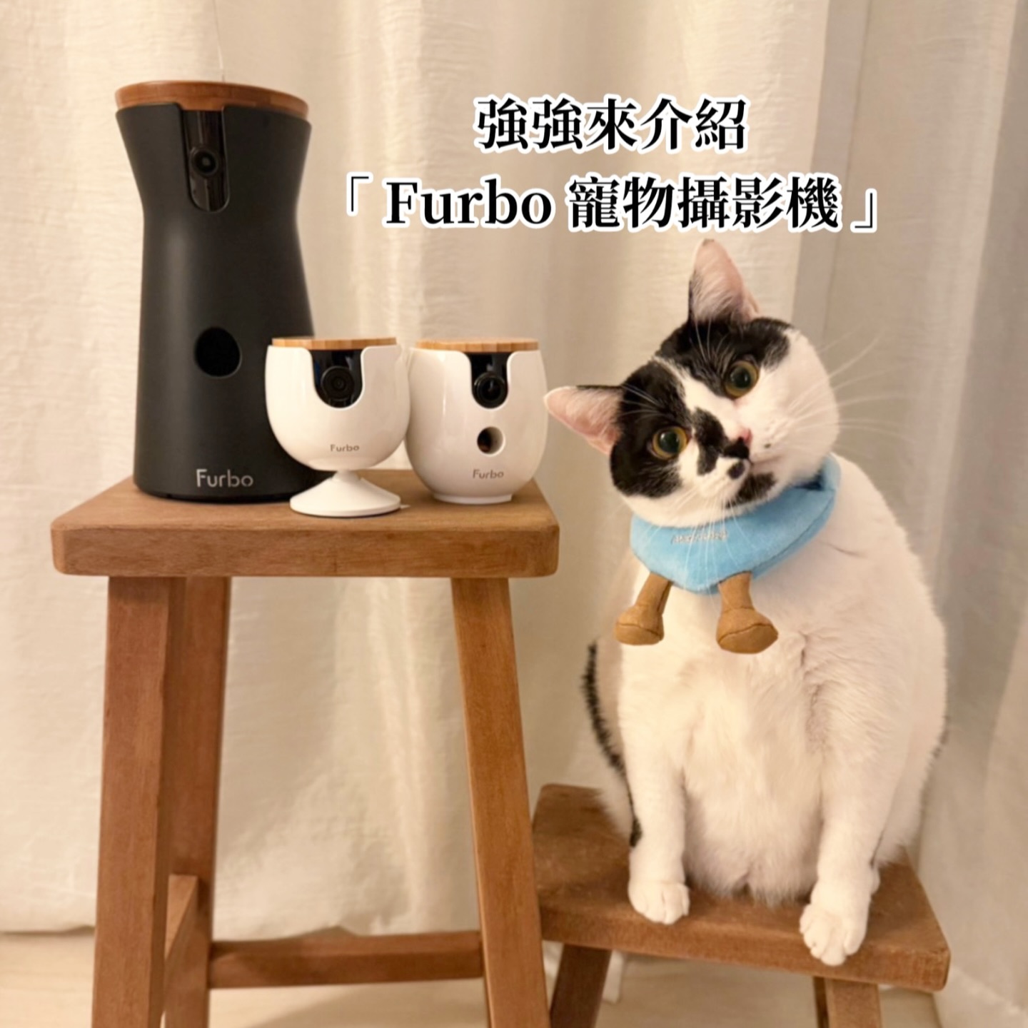 anna___chiangchiang Facebook ad