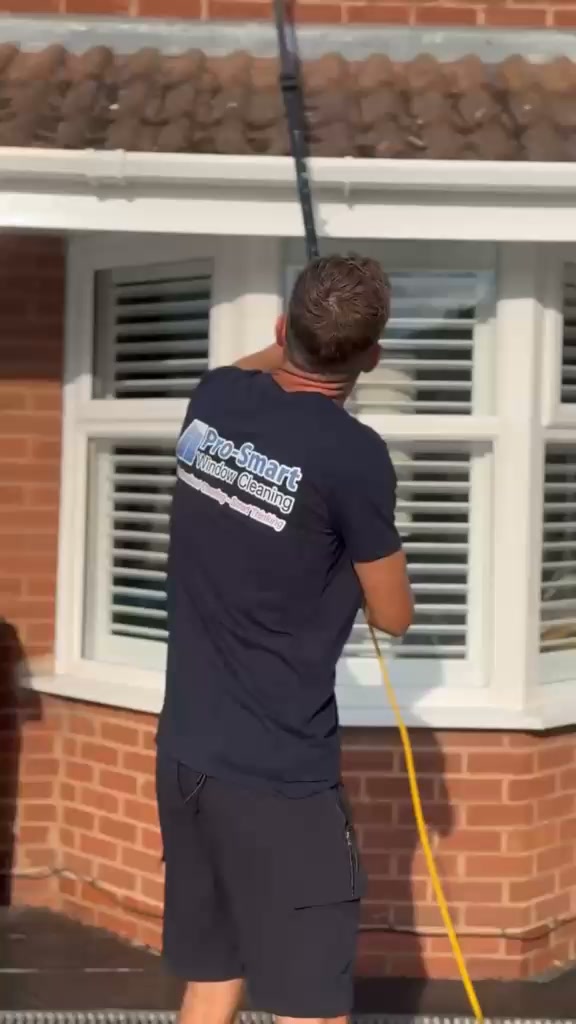 Pro-Smart Window Cleaning Facebook ad: Dirty Windows?