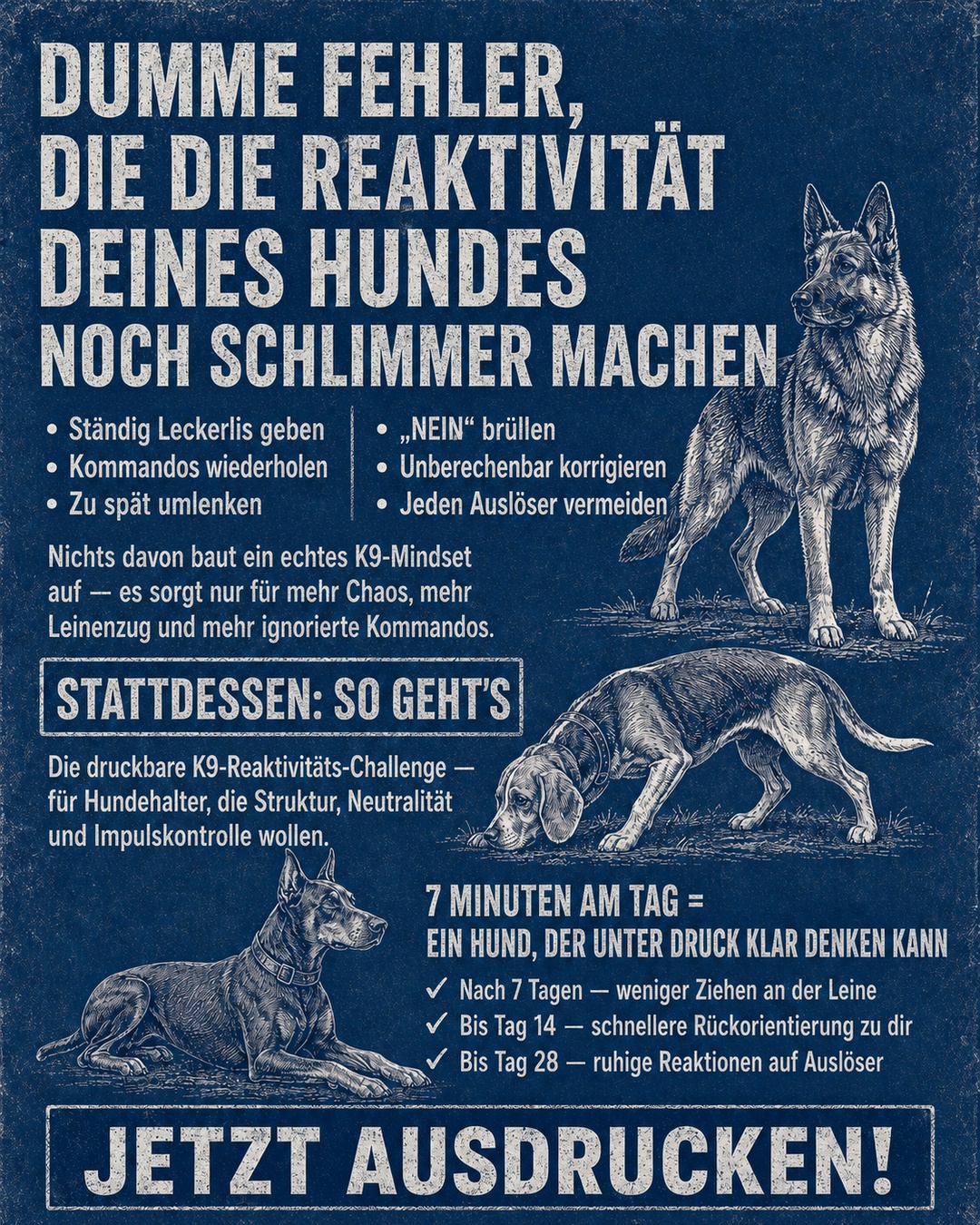 Reactive Dogs Club Facebook ad