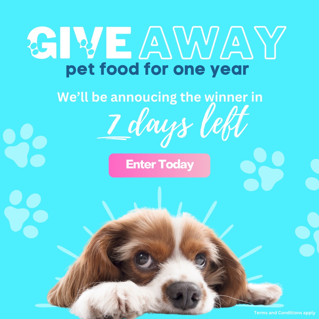 Secret Life of Pets Facebook ad