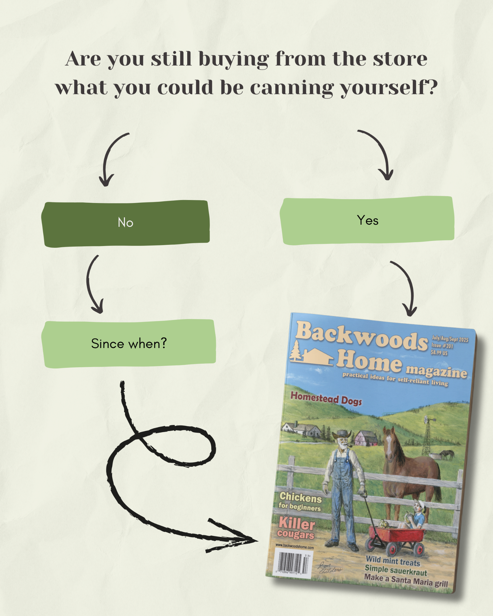 Backwoods Home Magazine Facebook ad