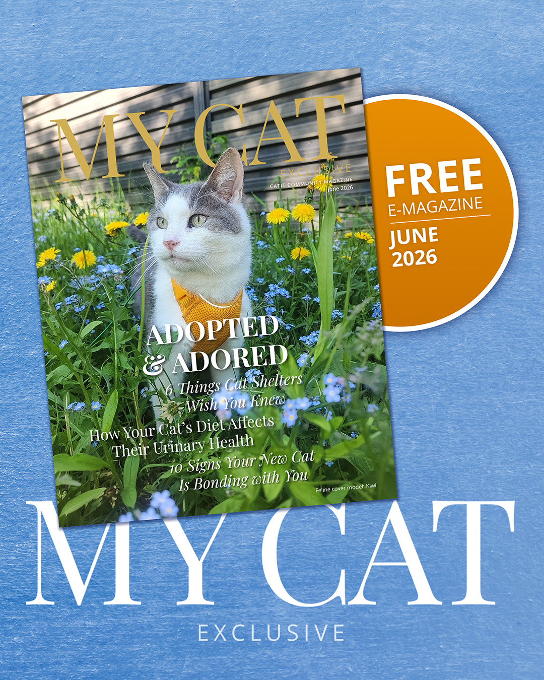 Catit Canada Facebook ad