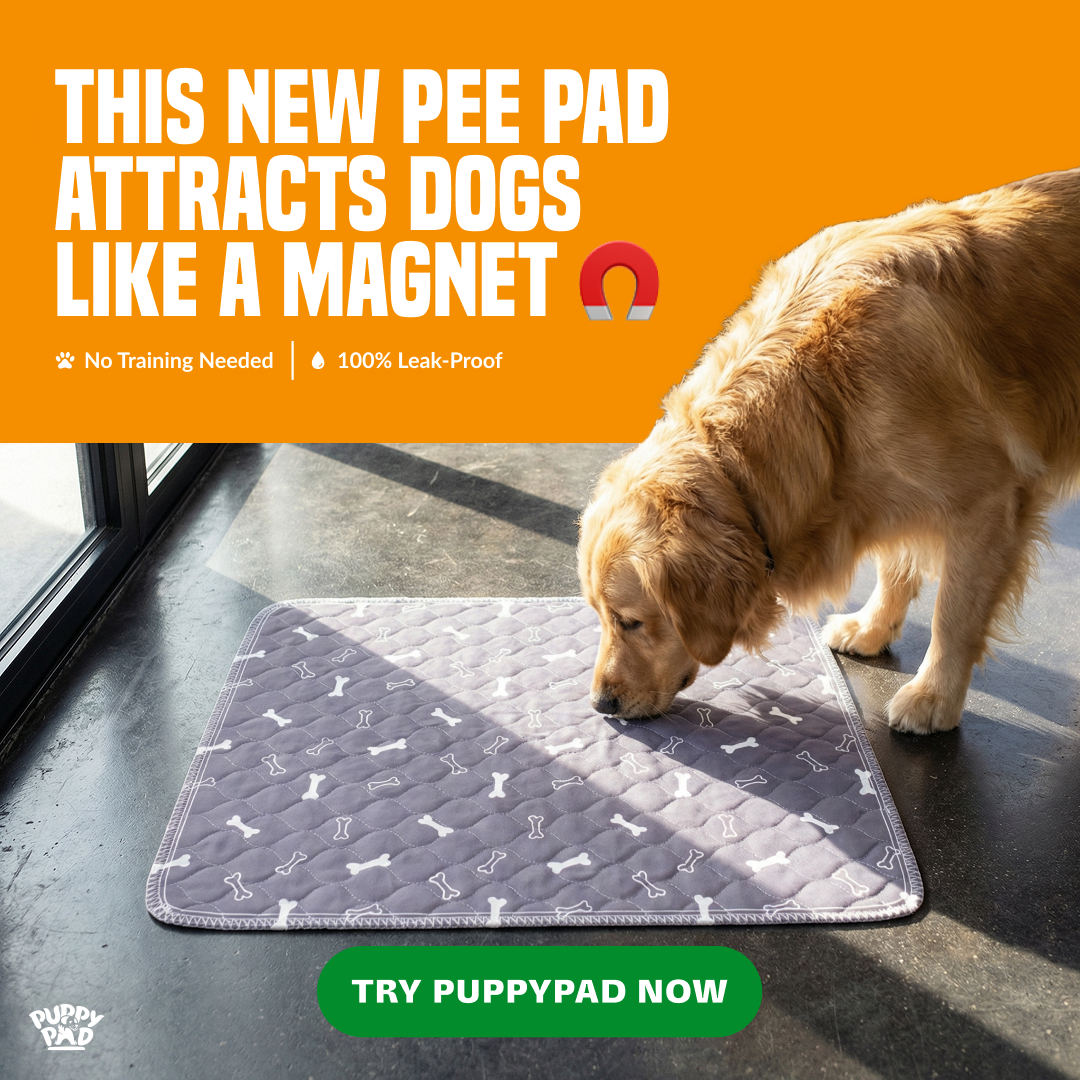 PuppyPad Facebook ad