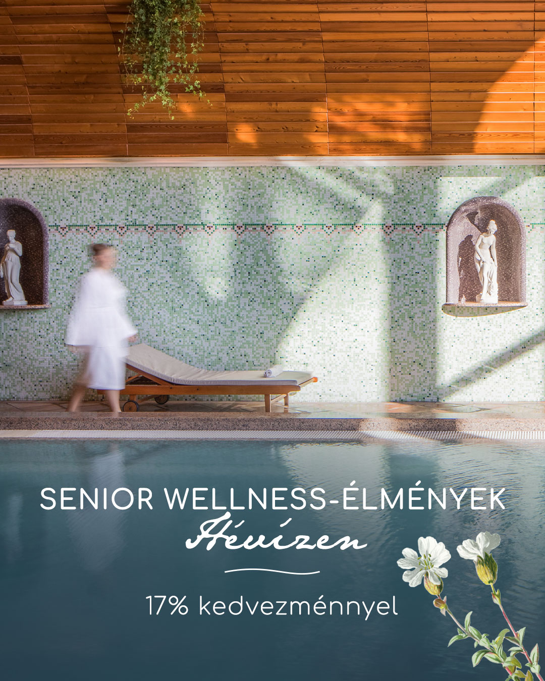 NaturMed Hotel Carbona Facebook ad: Senior wellness Hévízen