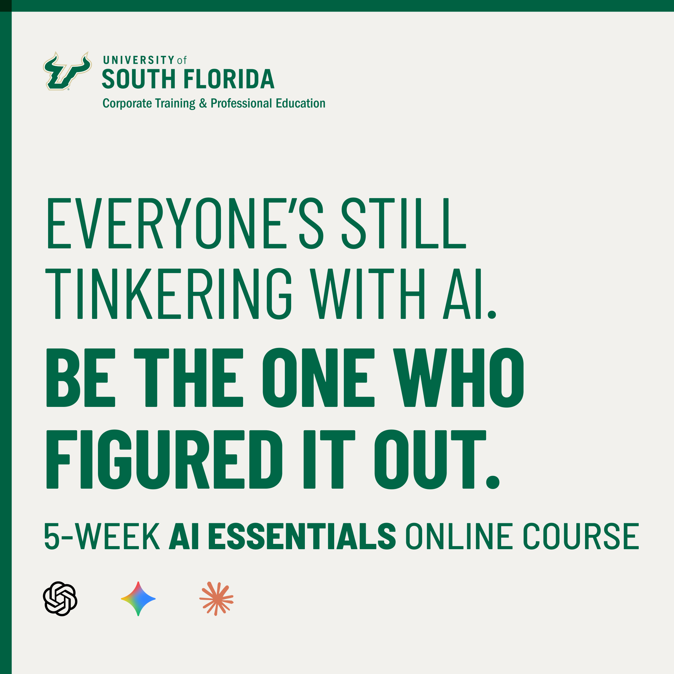 USF Corporate Training and Professional Education Online Certificates Facebook ad