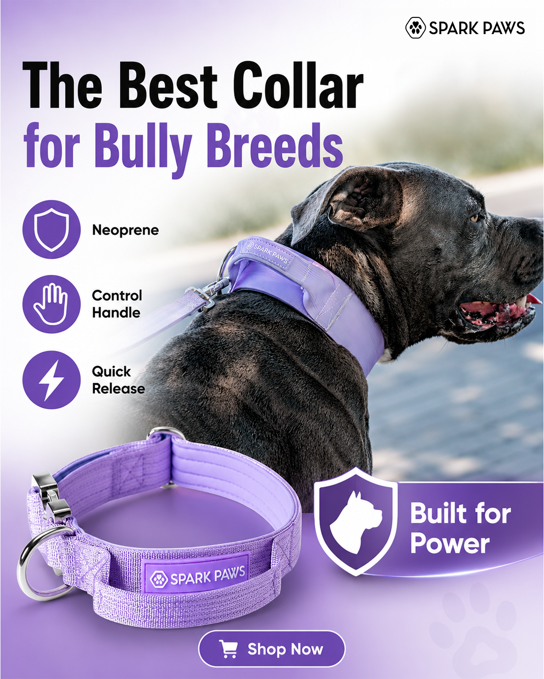 Spark Paws Facebook ad