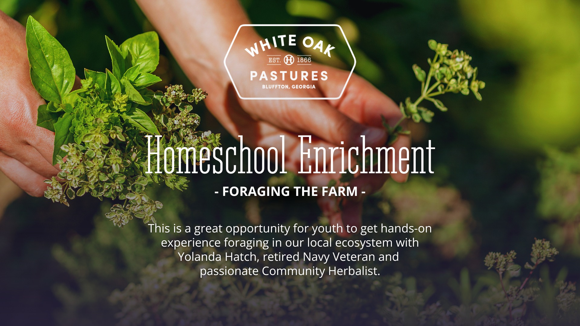 White Oak Pastures Facebook ad
