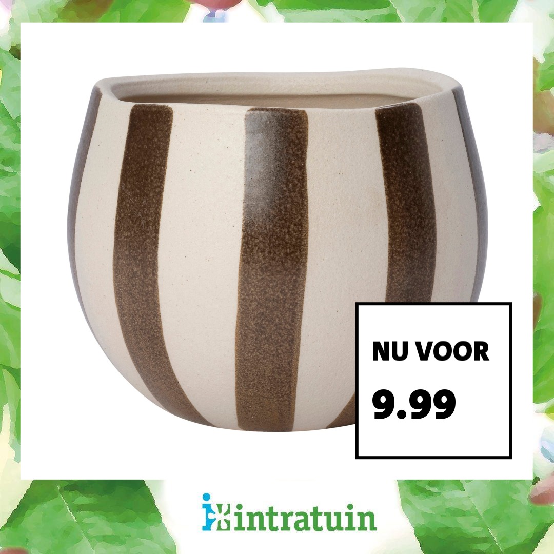 Intratuin Facebook ad