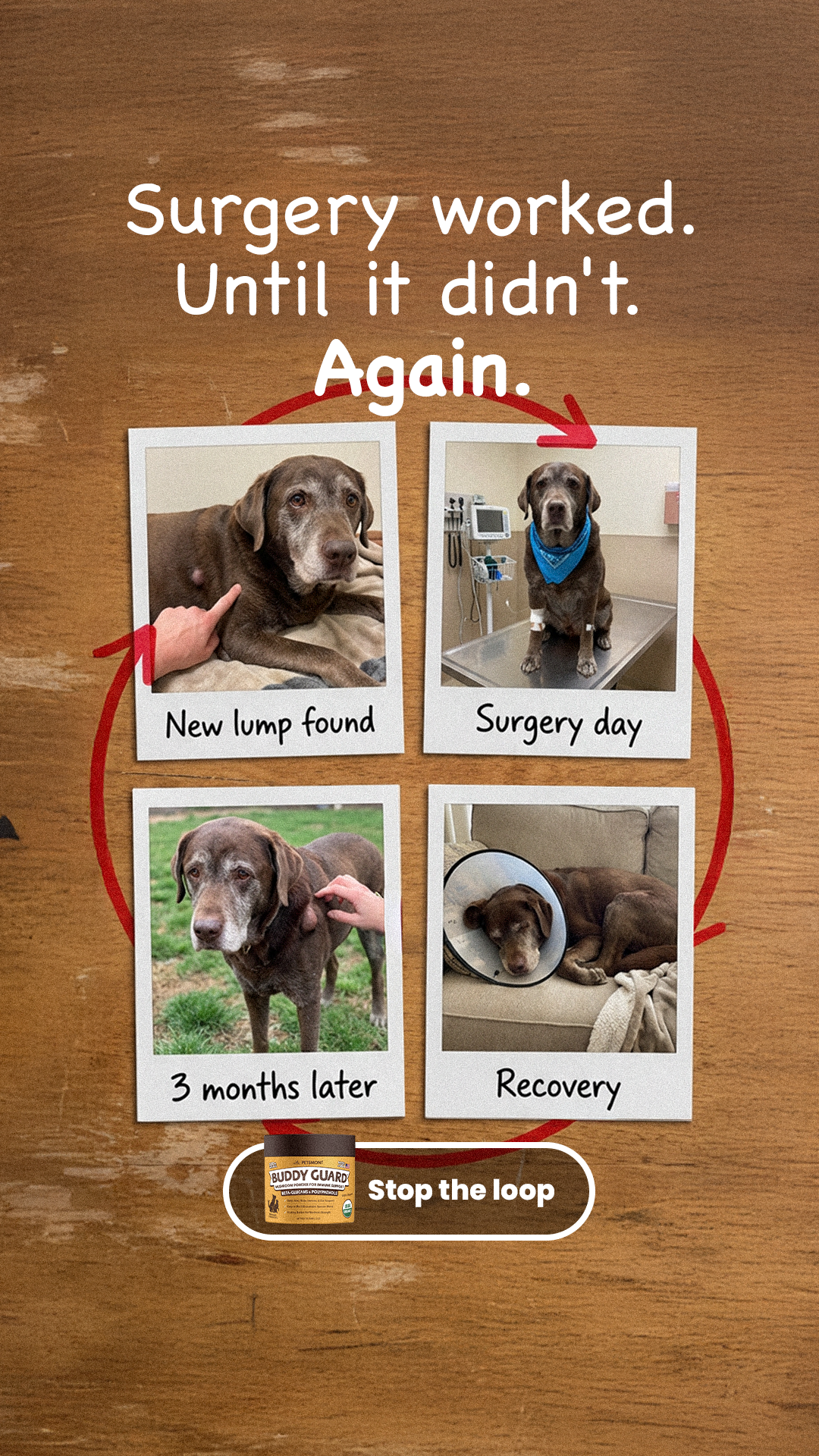 Petsmont Facebook ad