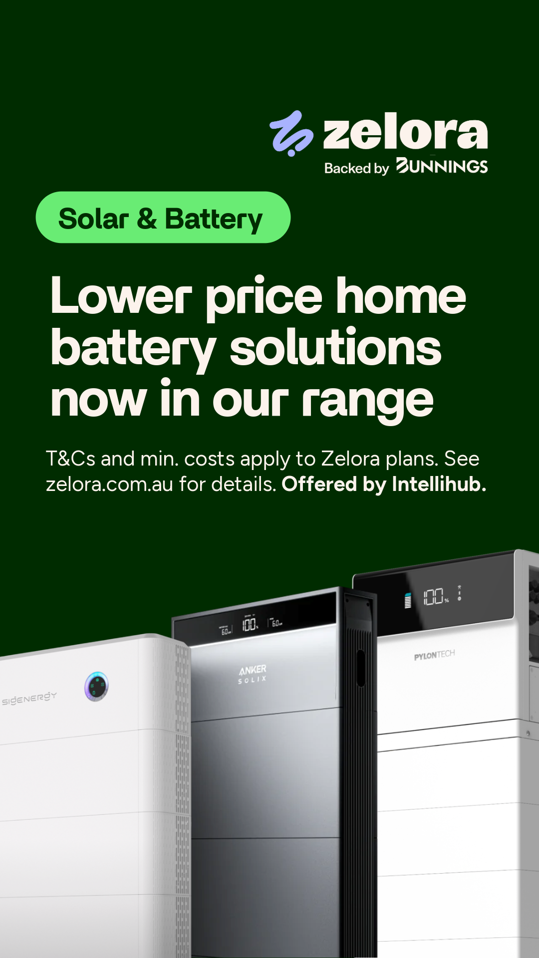 Bunnings Warehouse Australia Facebook ad
