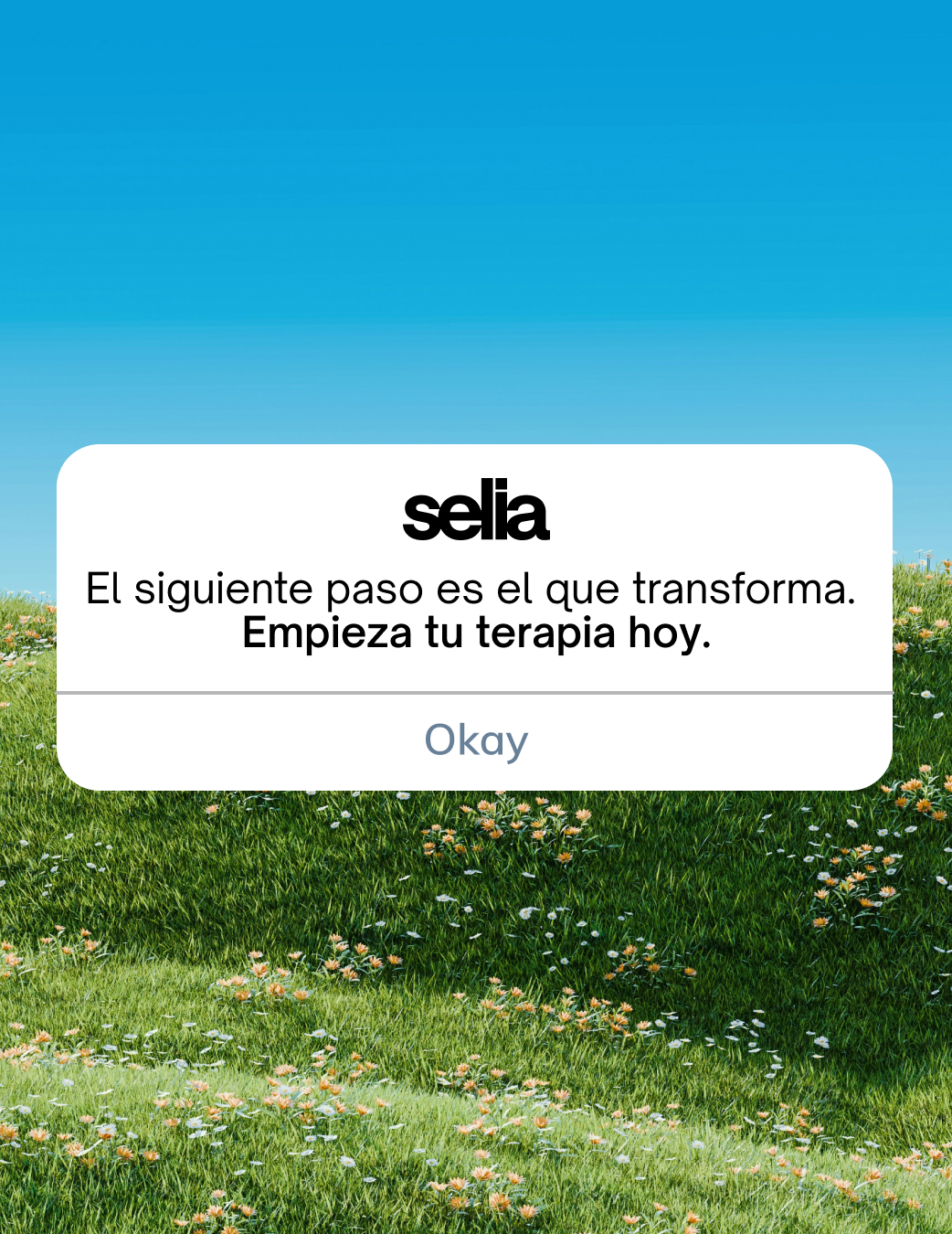 Selia Facebook ad