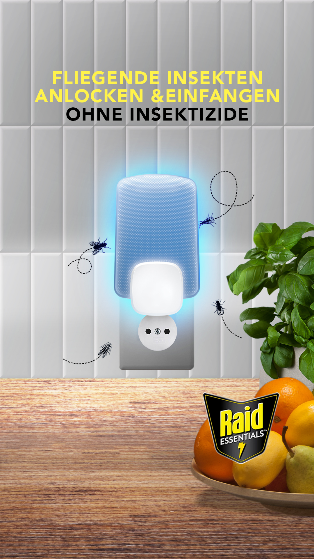 Raid Facebook ad