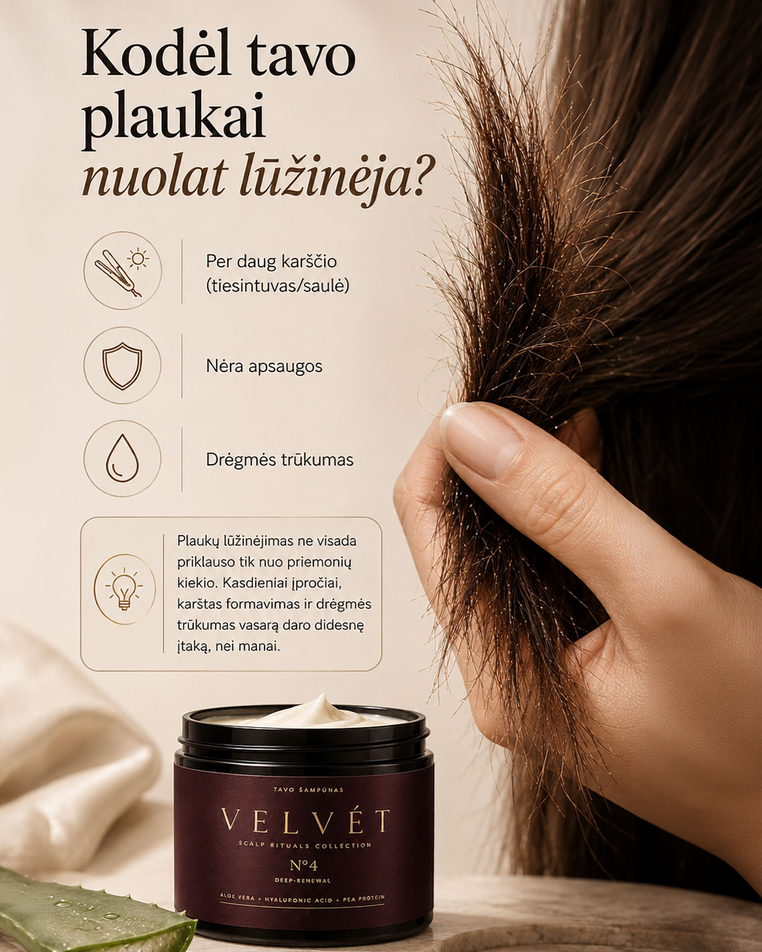 Tavo Šampūnas Facebook ad
