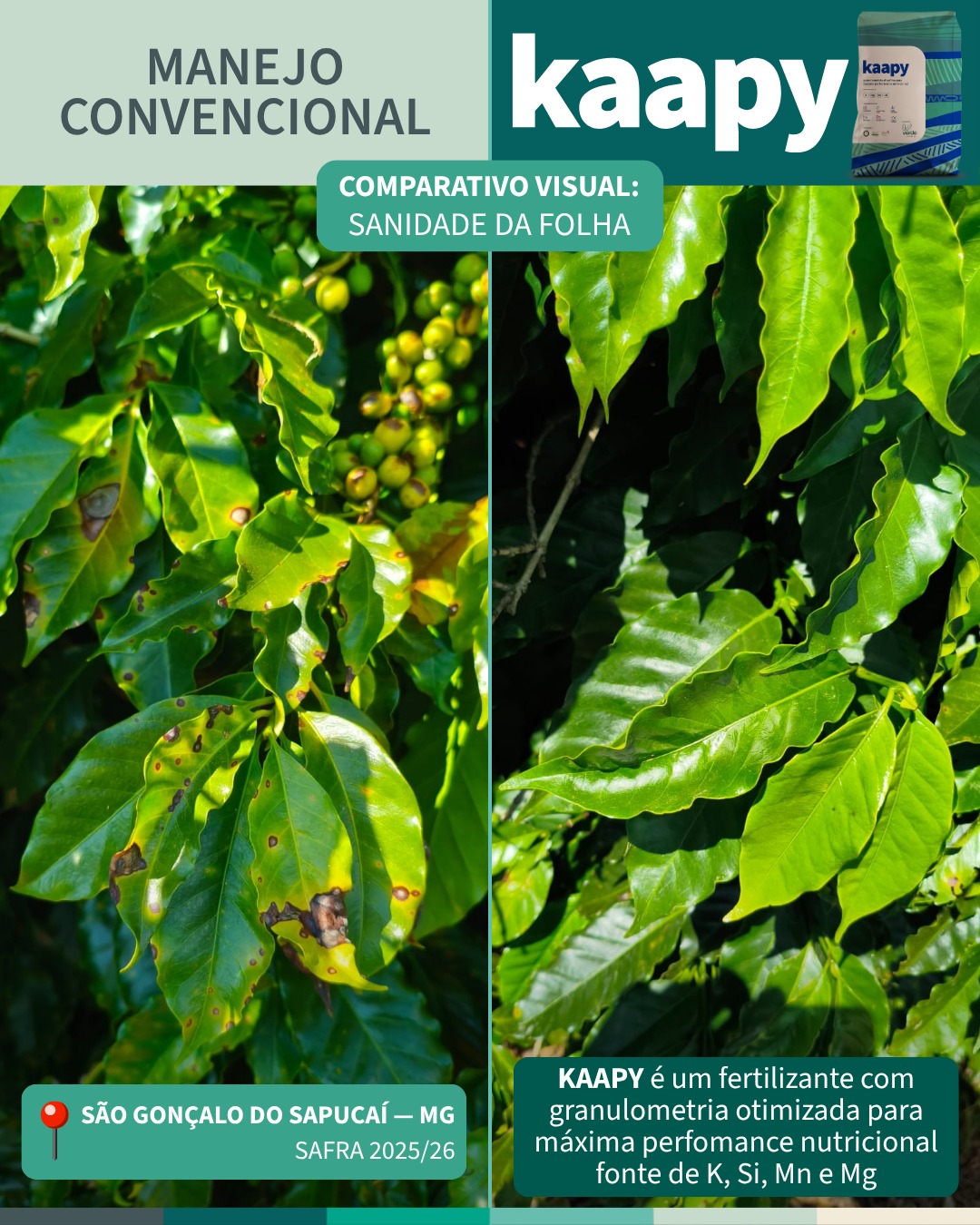 Verde Agritech Facebook ad: Converse conosco