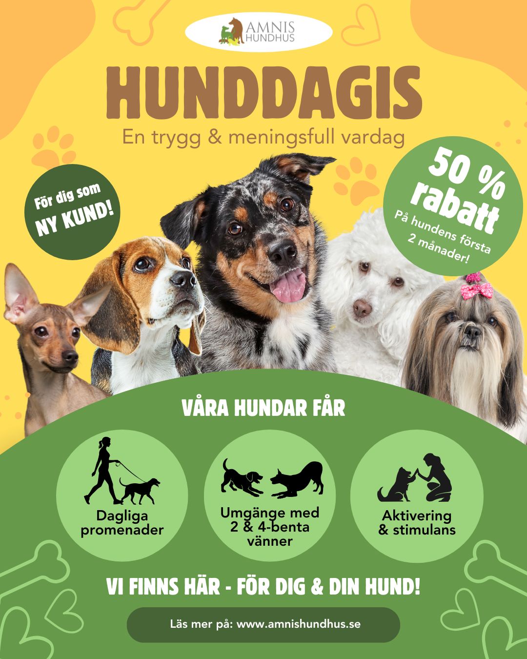 AMNIS Hundhus Hudiksvall Facebook ad: Hunddagis | AMNIS HUNDHUS