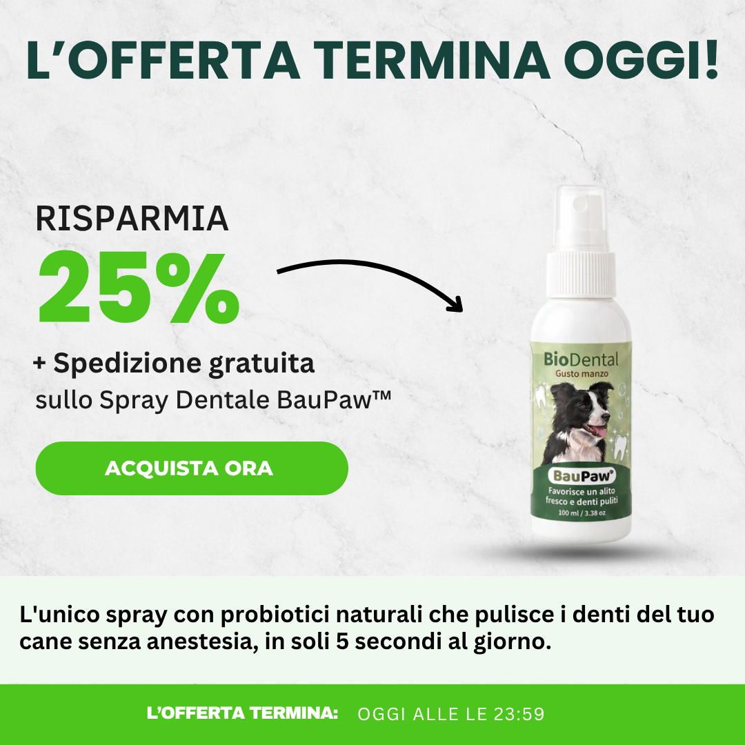 Amici a 4 Zampe Facebook ad: 5 secondi al giorno. Niente più detartrasi.