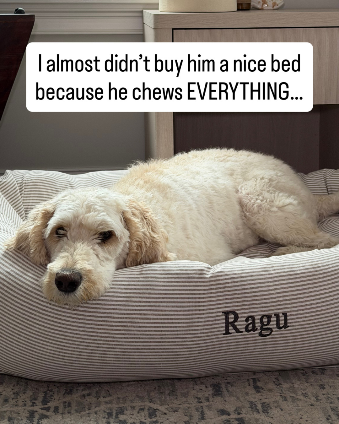 The Foggy Dog Facebook ad