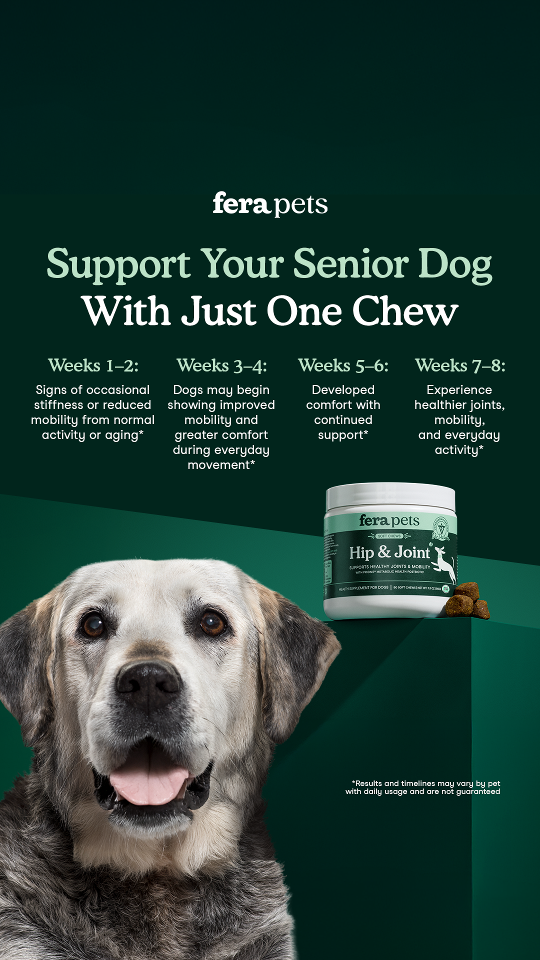 Fera Pets Facebook ad