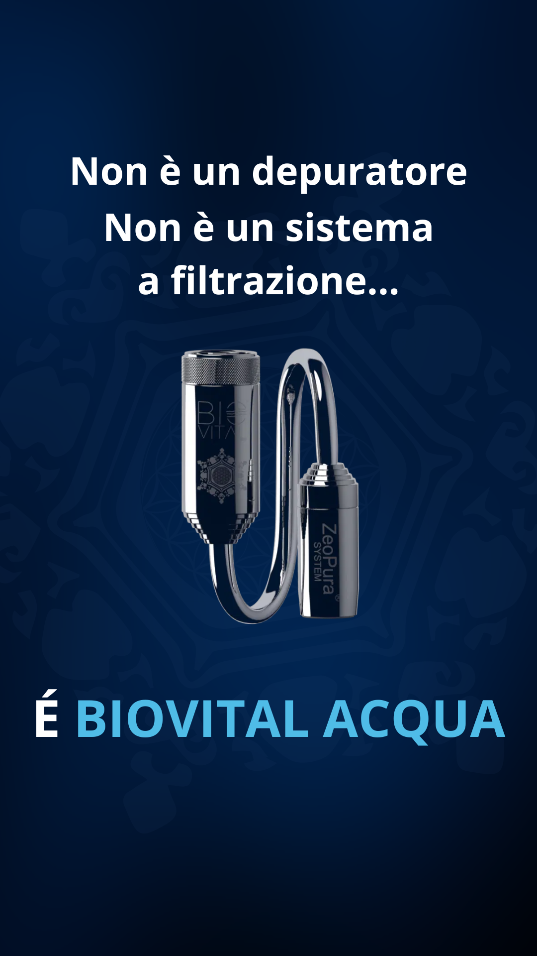 Biovital Progetto Italia Facebook ad from May 5, 2025
