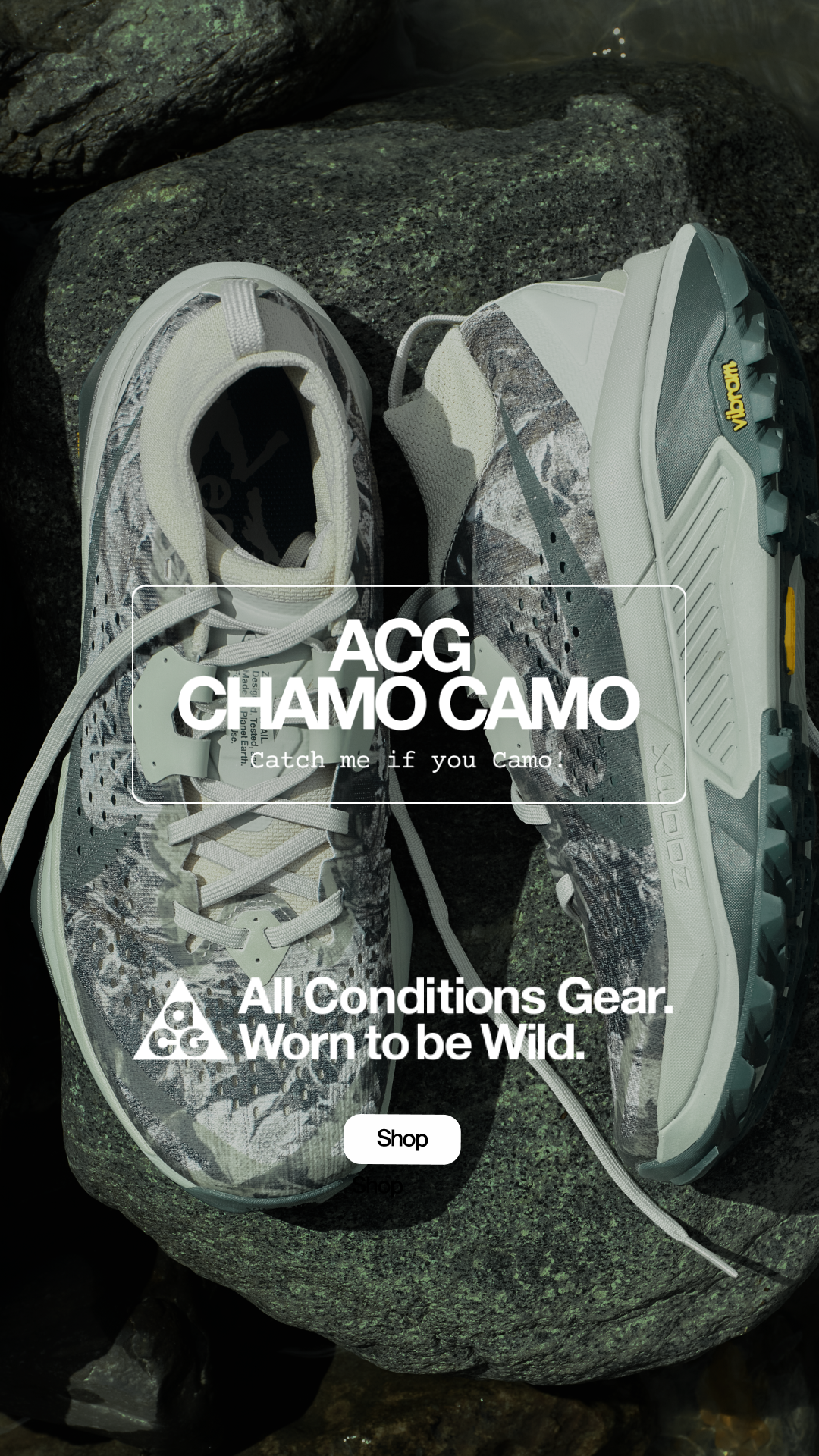 REI Facebook ad