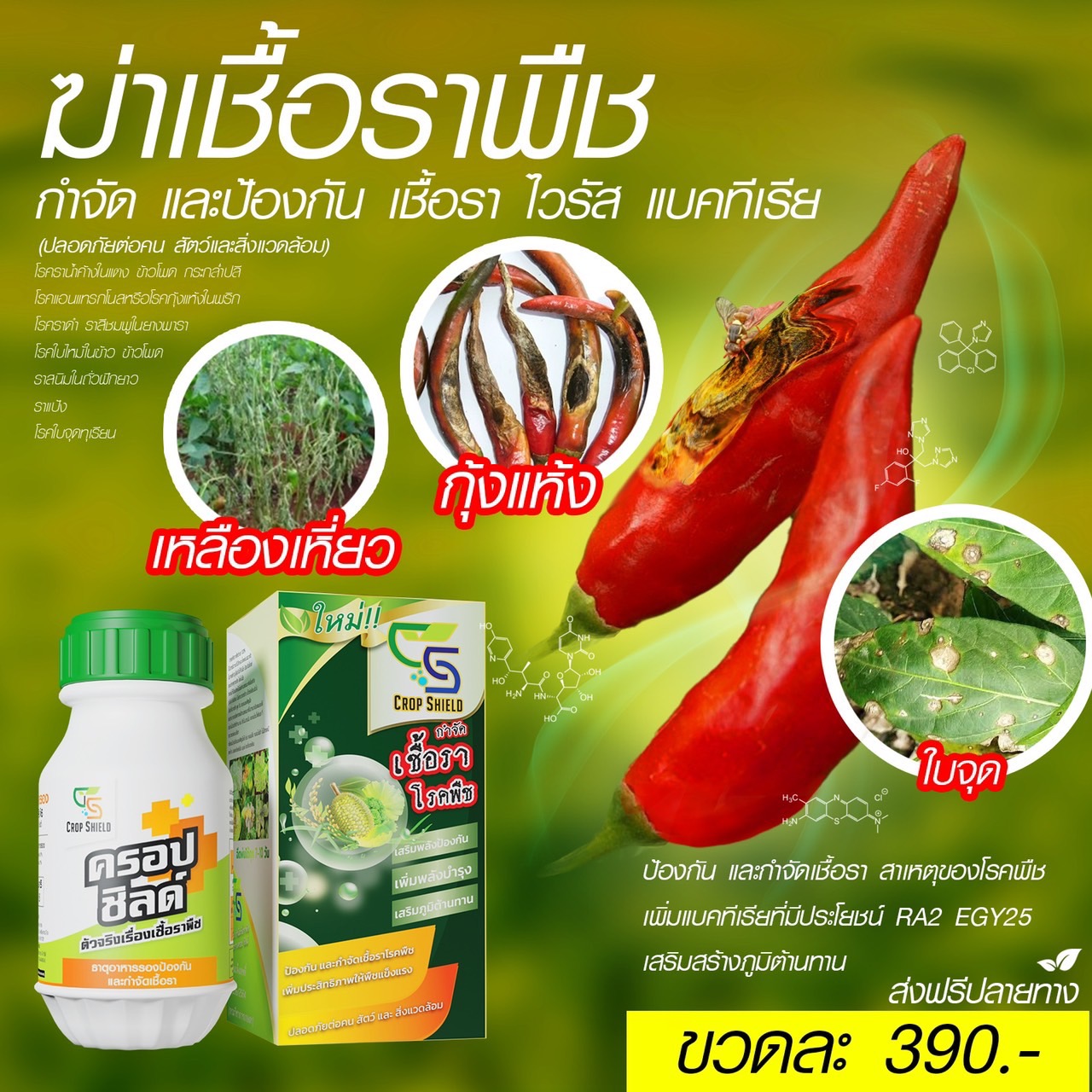 ปุ๋ยทางใบ ในนาข้าว เกษตรยุคใหม่ เห็นผลไว Facebook ad: 1 ขวดใช้ได้ 25ไร่ ตกไร่ละ 15บาท ส่งฟรีปลายทาง